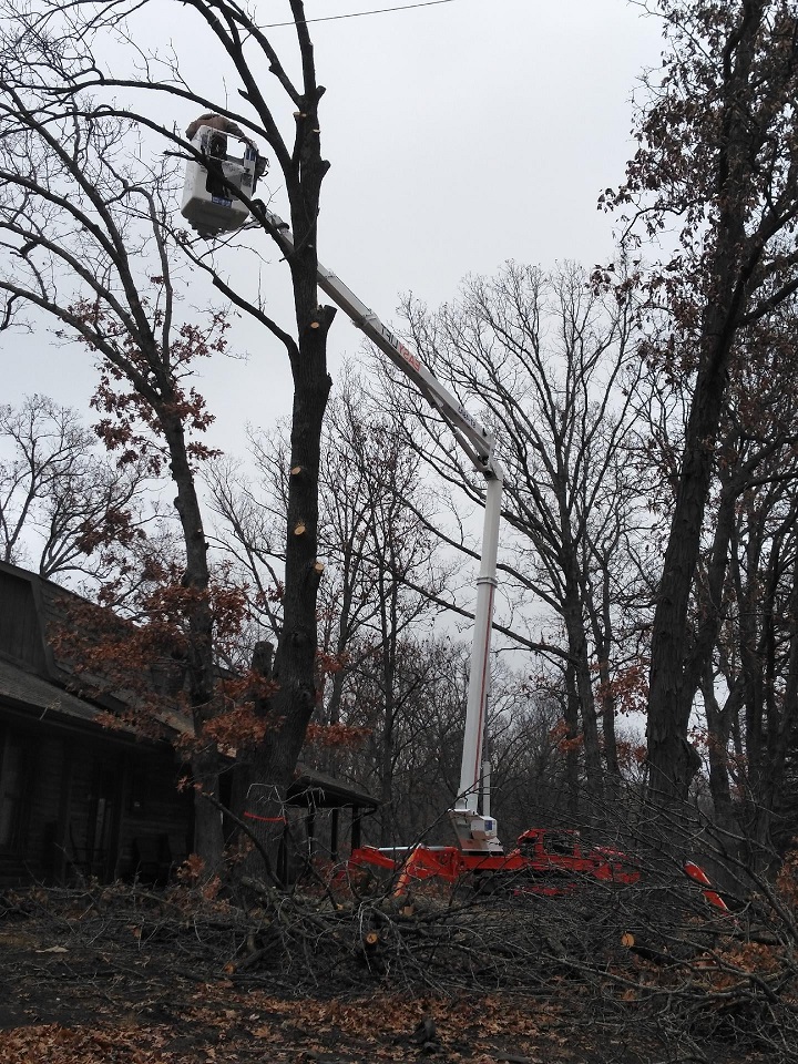 Tree Services Franklin TN